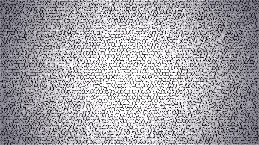 Light Gray HD wallpaper