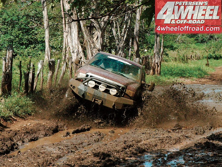 Muddy Ford, ford, 4x4, truck, muddy HD wallpaper