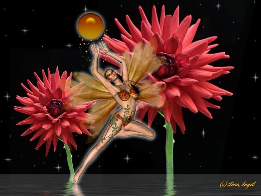 Faerie Dance เต้นรำ สีแดง ดอกไม้ วอลล์เปเปอร์ HD