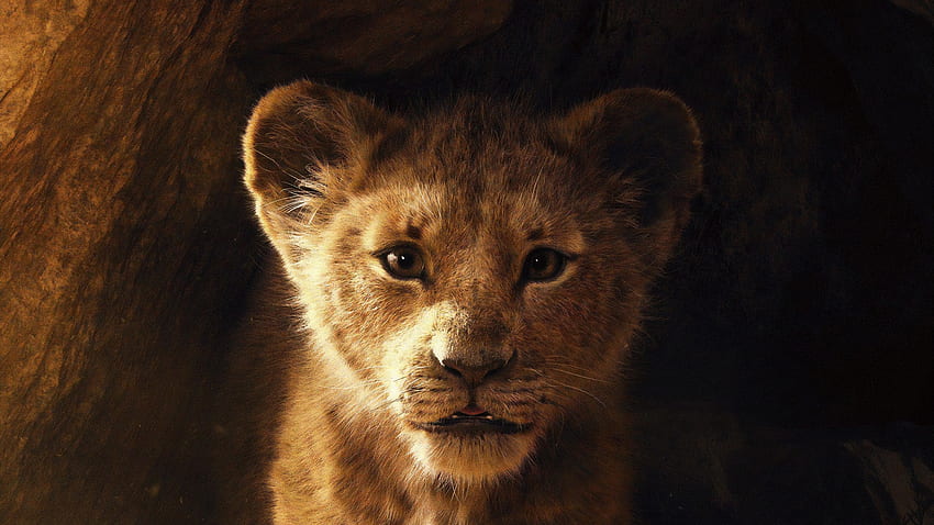 Simba, The Lion King, 2019 movie HD wallpaper