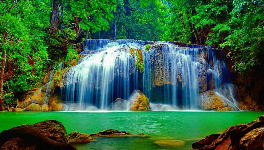 Forest Falls, Moos, Grün, Bäume, Wasserfall, Natur, Wald HD-Hintergrundbild