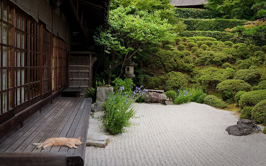 고양이와 배경이 있는 일본 정원. HD 월페이퍼