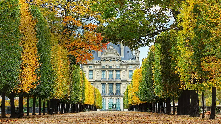 Лувъра през есента-Париж, вход, широк, дворец, авеню, Франция, Лувъра, парк, красота, алея, средновековен, дървета, есен, потупване, път, Париж HD тапет