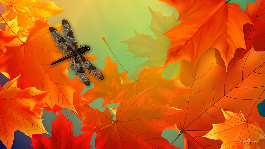 arces y libélula, hojas, arce, otoño, brillante, libélula, naranja, otoño fondo de pantalla
