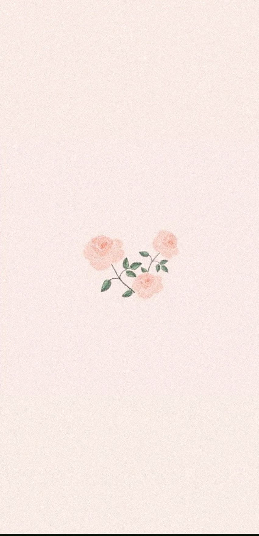 Rose tendre. Fleurs roses , Rose , Rose rétro , Pastel rose clair mignon Fond d'écran de téléphone HD