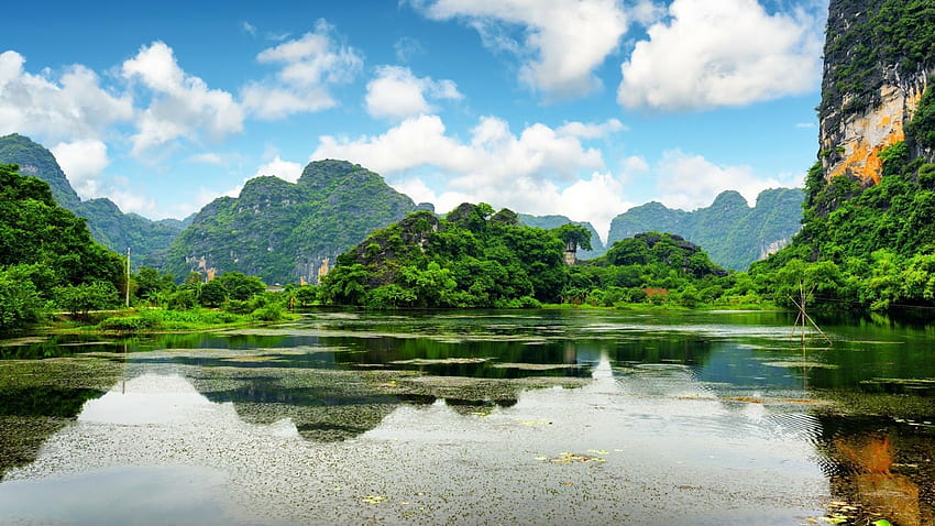 Cuc Phuong National Park - Ninh Bình, Vietnam ., Vietnam Nature HD wallpaper