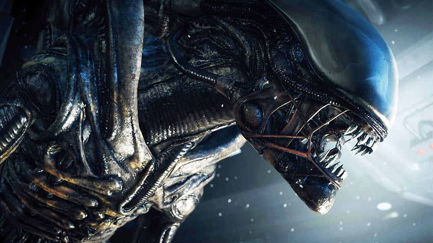 Alien: Aislamiento, Videojuegos, Alien (película) / y s móviles fondo de pantalla