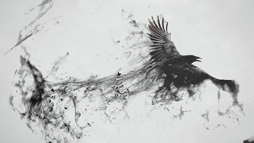 Raven Bird Flying White Abstract 28546, Black White Abstract HD wallpaper