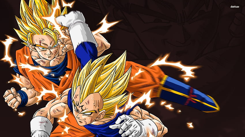 Vegeta Son Goku Saiyans Dragon Ball Z wallpaper, 1600x1200, 311949