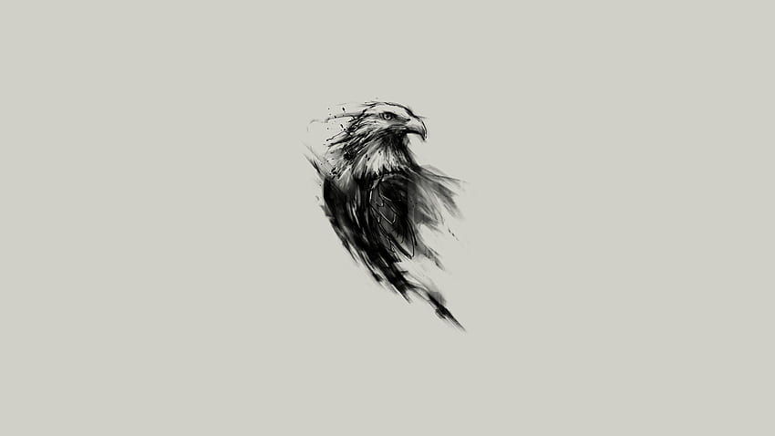 eagle, Bald Eagle, Birds, Simple Background, Sketches, Simple Artistic HD wallpaper