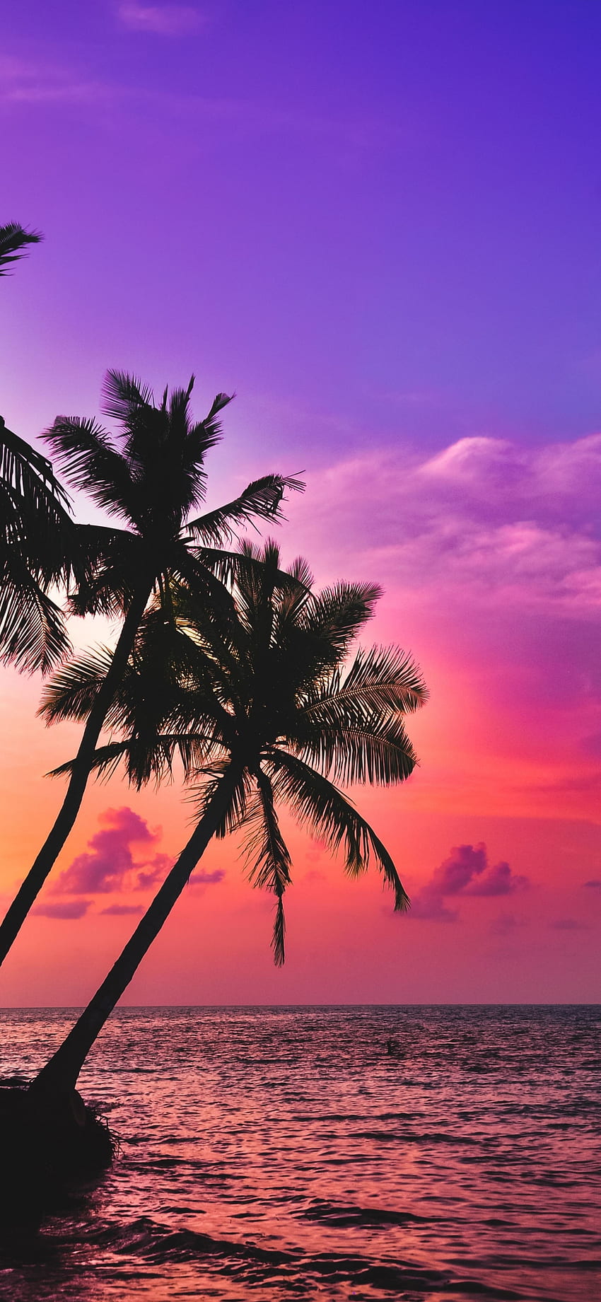 tropikalna wyspa, plaża, różowe niebo, zachód słońca, palmy, iphone x, tło, 21802 Tapeta na telefon HD