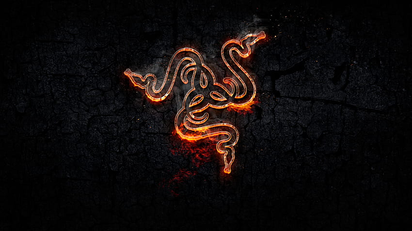 Razer, Logo, Fire, Gaming, Snake, Cool Gaming 1600X900 HD wallpaper | Pxfuel