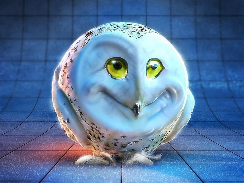 Weird Looking Owl and Background , Funny Owl HD wallpaper