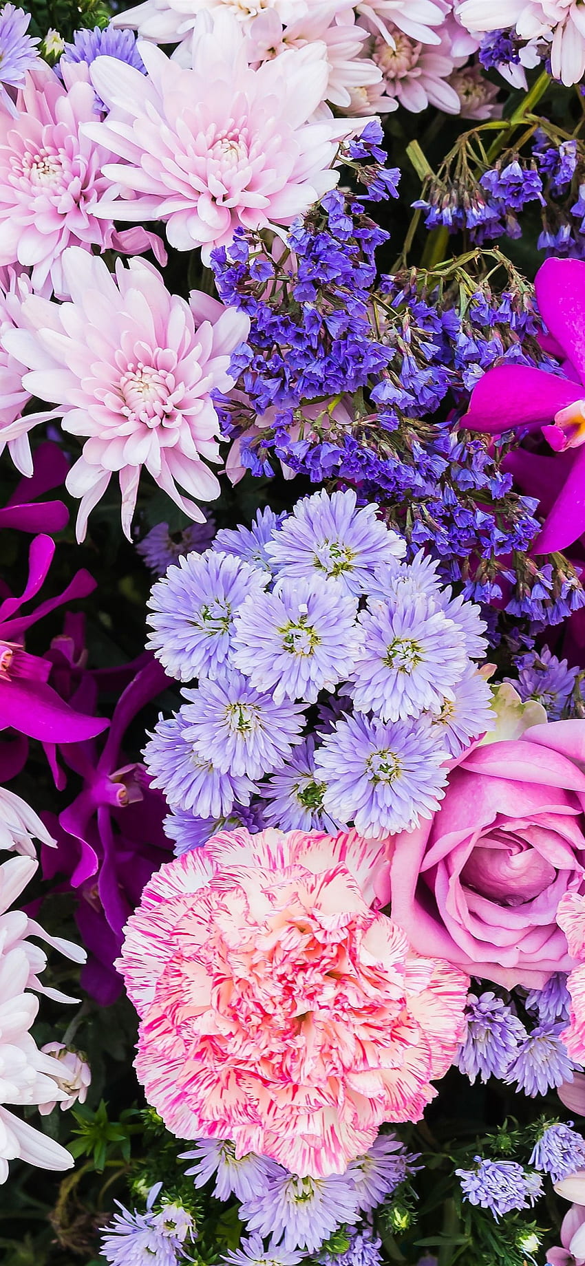 Bunte Blumen, viele Arten, Blütenblätter IPhone 11 Pro XS HD-Handy-Hintergrundbild