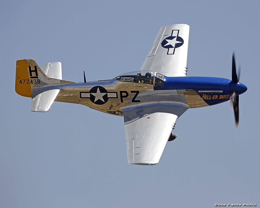 Mustang P51. P51 mustang, Mustang, Mustang HD wallpaper | Pxfuel