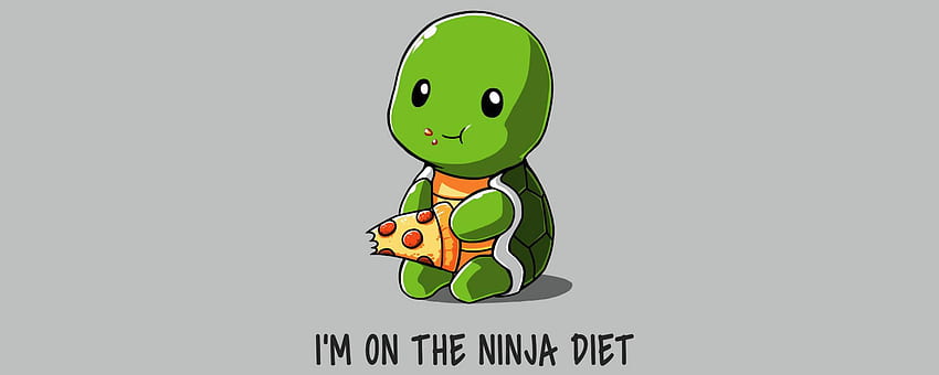 Zabawny ninja w sprawie rozwiązania diety, śmieszny żółw Tapeta HD