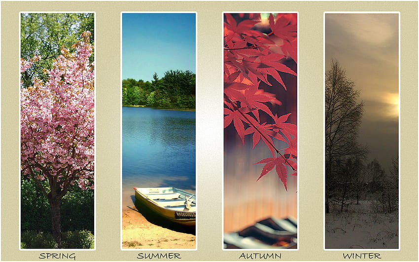 4 Seasons, winter, summer, autumn, nature, spring, four seasons HD wallpaper