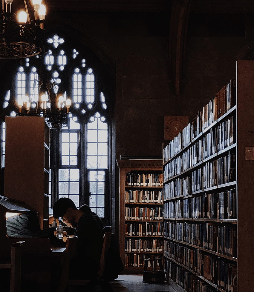 dark academia. Dark aesthetic, Hogwarts aesthetic, Gryffindor aesthetic, Library Aesthetic HD phone wallpaper