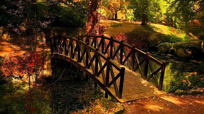 Di legno, ponte, alberi, fiume, percorso, autunno, alto, definizione, , Per, , , , , , Incredibile - Il Sfondo HD