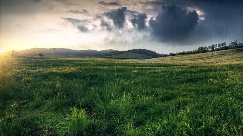 paysage de pluie de printemps, pluie, nuages, prairie, herbe, printemps Fond d'écran HD