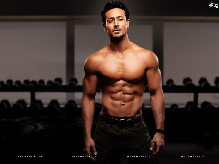 Hot of Bollywood Stars & Actors. Indian Celebs, Tiger Shroff Body HD  wallpaper | Pxfuel