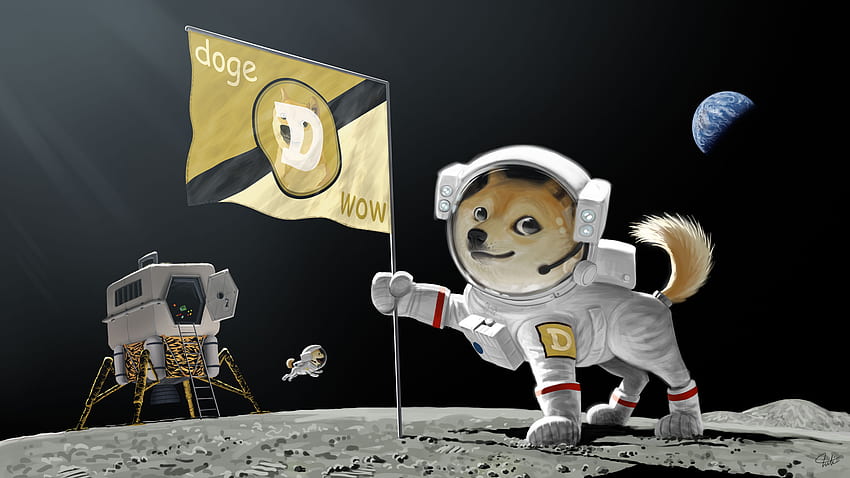 Doge Dog Astronaut Meme Moon Landing Earth Planet Flag [] für Ihr , Handy und Tablet. Entdecken Sie Dogen. Süßer Hund, Hund für, 2560X1440 Cartoon-Hund HD-Hintergrundbild