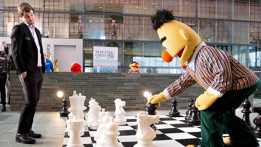 PsBattle: Световният шампион по шах Магнус Карлсен играе Берт от Улица Сезам : hopbattles HD тапет