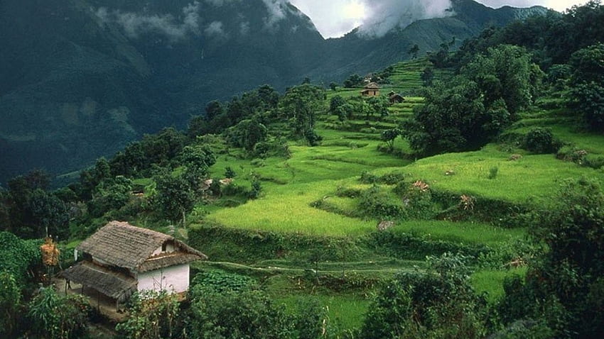 Hut on the Mountain, Nepal, Montanha, Cabana, Verde, Cabana papel de parede HD