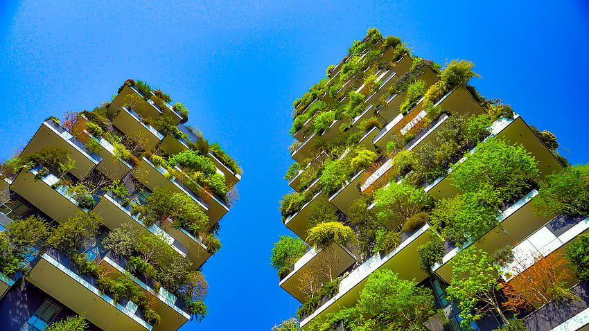 Webinar IORMA: Edifici Sostenibili – IORMA. Centro per il commercio dei consumatori, edifici verdi Sfondo HD
