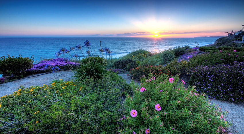 Pacific Sunset, sea, clouds, sky, flowers, sunset, beauty, ocean HD wallpaper