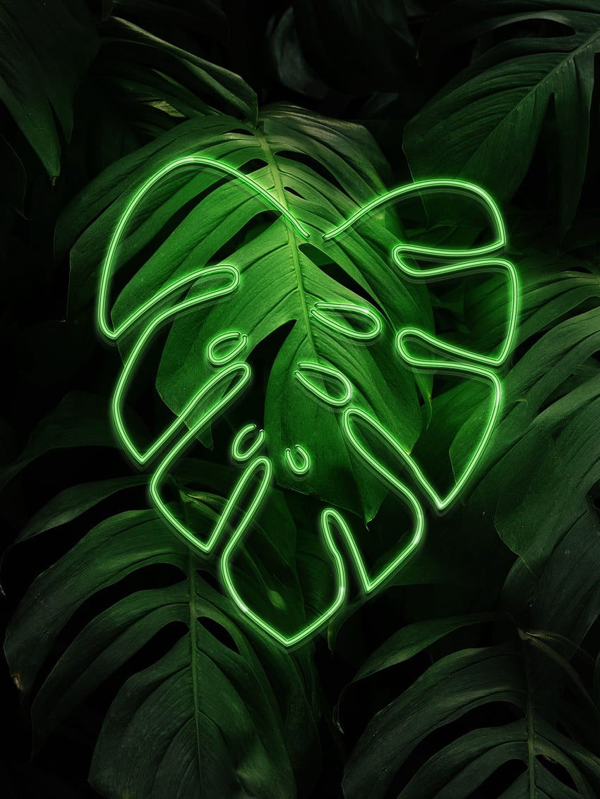 Leaf Green Neon を購入する - 米国への配送、Neon Plants HD電話の壁紙