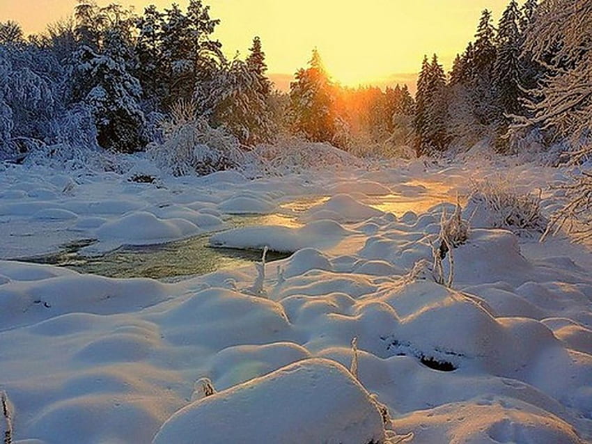 Frostiger Wintertag, Fluss, Winter, Natur, Natur, Kälte, Frost, Tag, Schnee, Bäume, Natur, Himmel, Wasser, Sonne, Wald, Eis HD-Hintergrundbild
