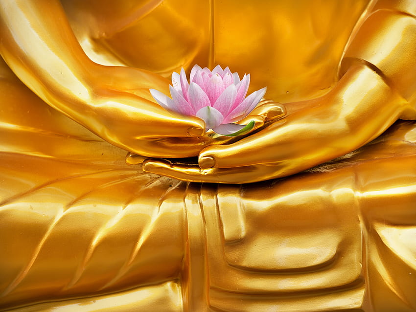 Der goldene Buddha, Hand, Buddhismus, Religion, Buddha, Lotus HD-Hintergrundbild
