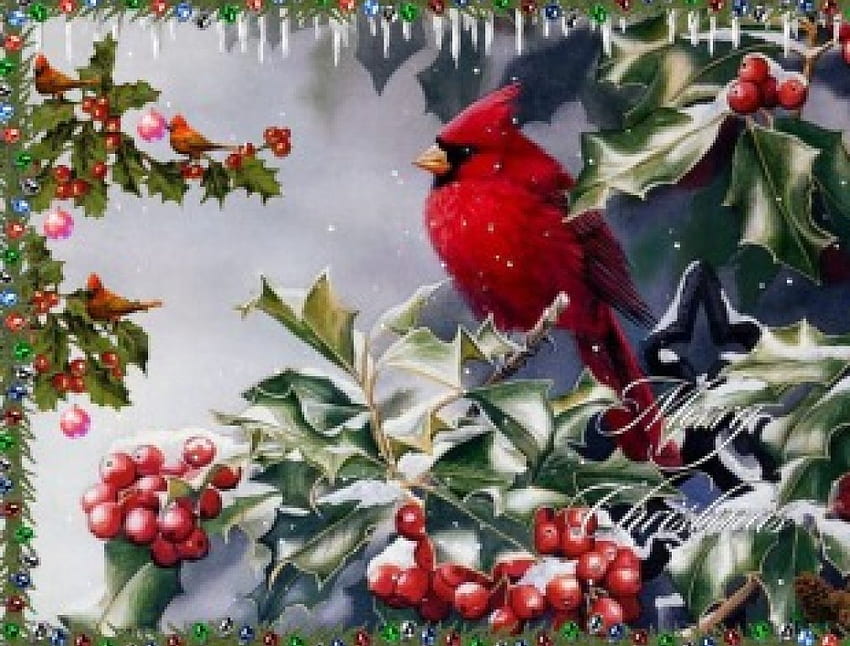 CHRISTMAS CARDINAL, catdinal, bird, red, berries, holly HD wallpaper