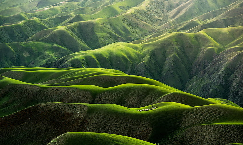 Body Grassland di Yili，Xinjiang，China oleh Qingbao Meng di Unsplash. Alam, Alam, Alam Wallpaper HD