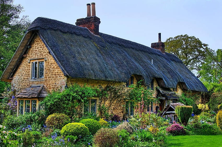 English Cottage, plants, landscape, garden, nature, tree HD wallpaper