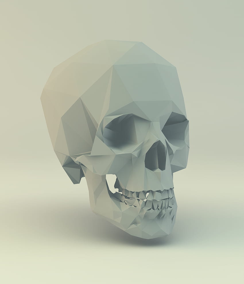 Low Poly Skull. Craneo dibujo, Obras de arte 3D, Cráneos y calaveras,  Polygon Skull HD phone wallpaper | Pxfuel