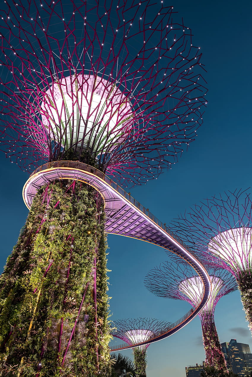 Singapur , Singapur Günü HD telefon duvar kağıdı
