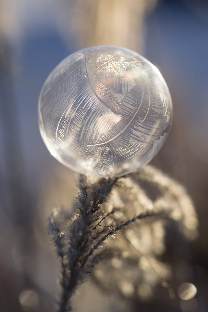 Burbuja Congelada, Burbujas Congeladas fondo de pantalla del teléfono