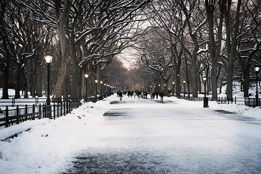 Winter New York « △Kathy Kiefer HD wallpaper