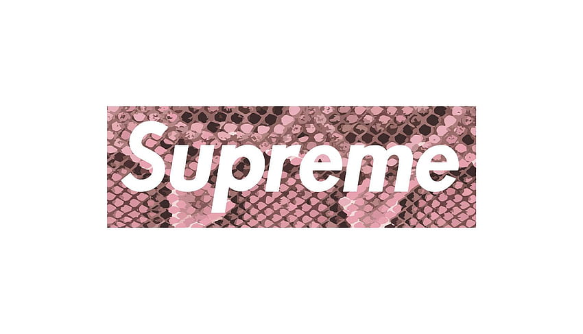 The 19 Most Obscure Supreme Box Logo Tees, Supreme Gucci Snake HD ...