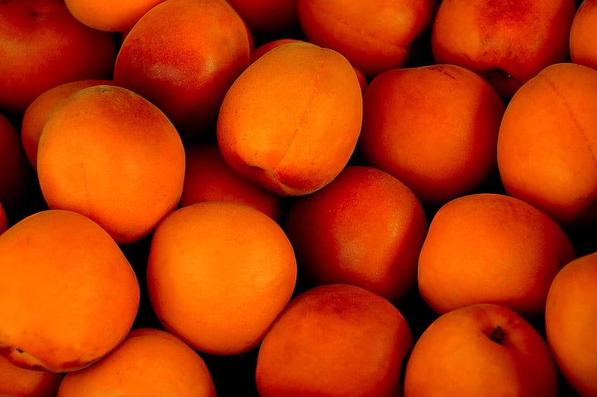 Fruits, Food, Ripe, Apricots HD wallpaper