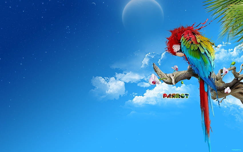 Latar belakang untuk Pengeditan hop - Resolusi Tinggi, Parrot OS Wallpaper HD