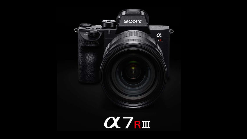 Sony A7R III anunció con R, mejoras ergonómicas, ¡pero no 10 bits o 60p! - Reseñas de equipos y cámaras cinematográficas fondo de pantalla