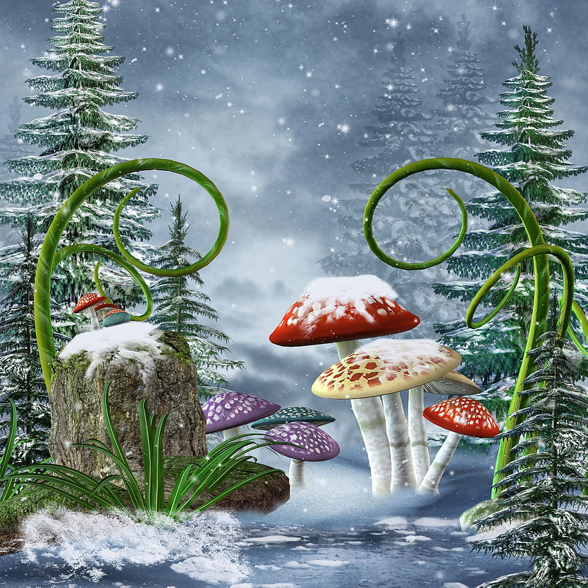 Nature Spruce Winter Snow Tree stump Mushrooms, 3200x3200 HD phone wallpaper