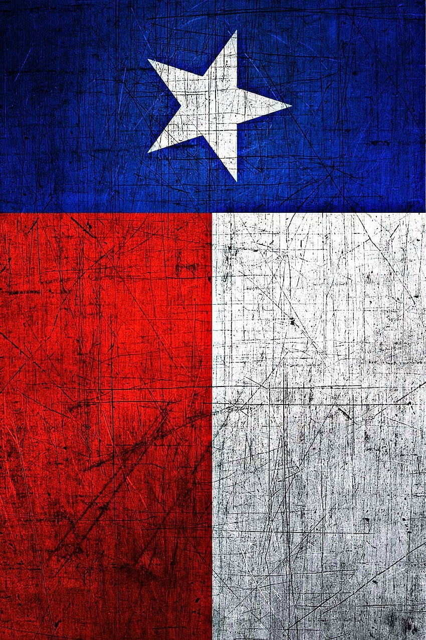 Texas Flag. iPhone , Cellphone , Texas art, Punisher Flag HD phone wallpaper