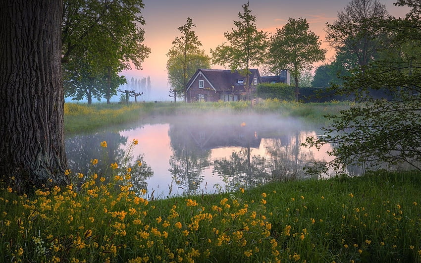 Spring Morning, mist, trees, houses, sunrise, pond HD wallpaper