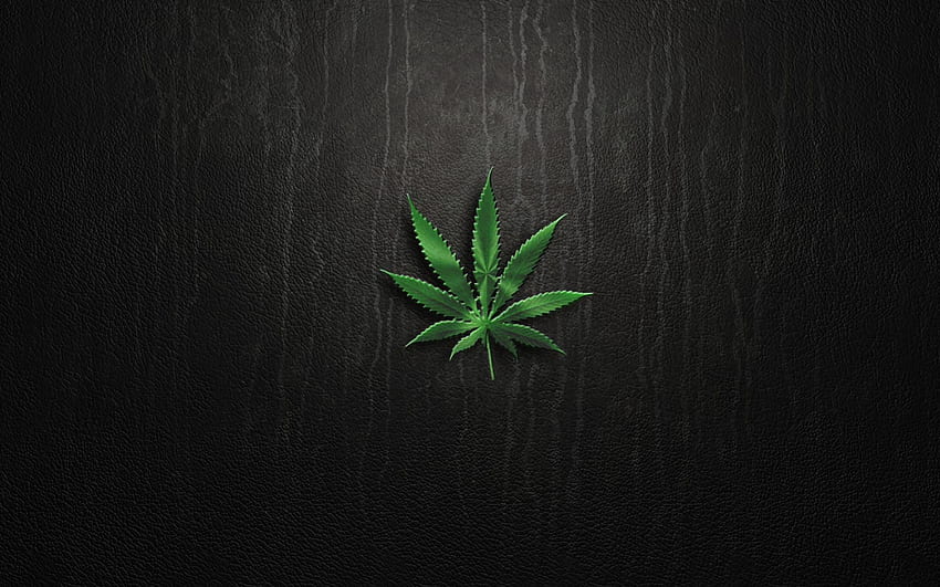 Schwarzes Marihuana, Unkraut HD-Hintergrundbild