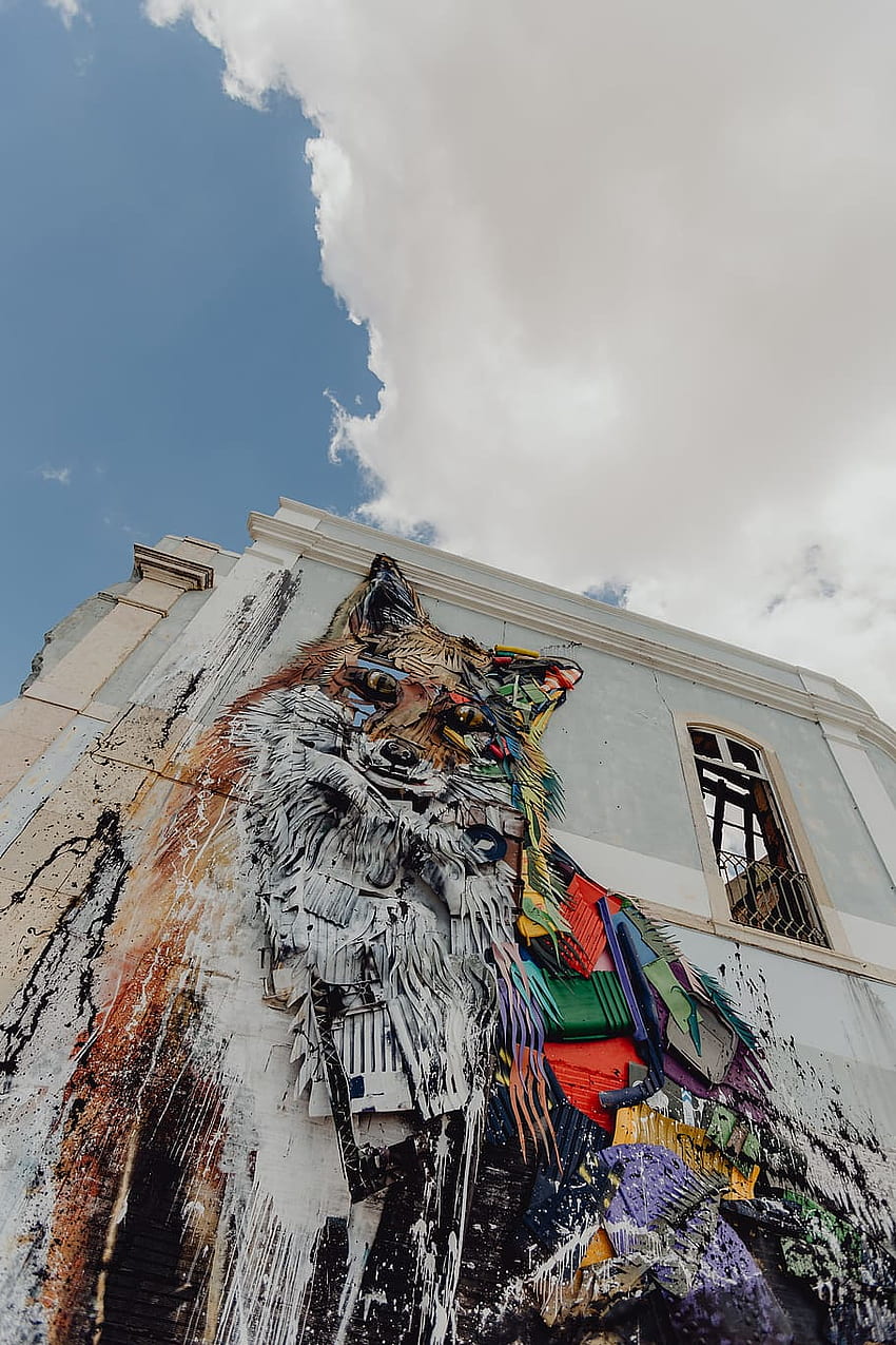 : Lisbon street art, Portugal, Europe, lisboa HD phone wallpaper