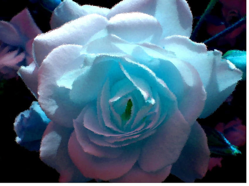 Cross Processed Blue Flower, blue, rose, flower, nature, effects, cross processed HD wallpaper